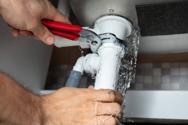 Best Professional water damage repair  in Adelphi, MD