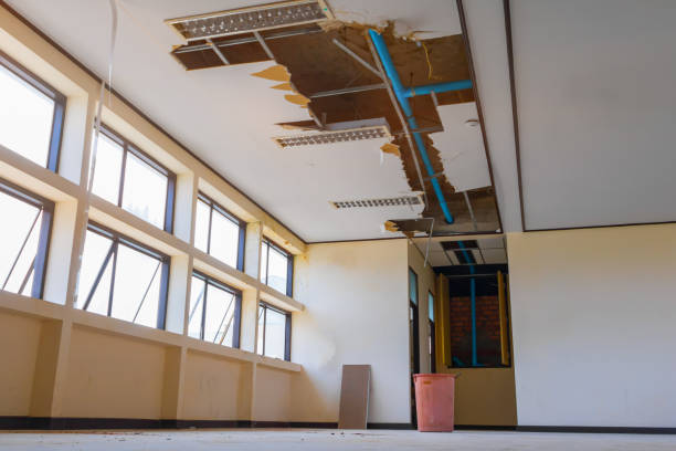  Adelphi, MD Water damage restoration Pros