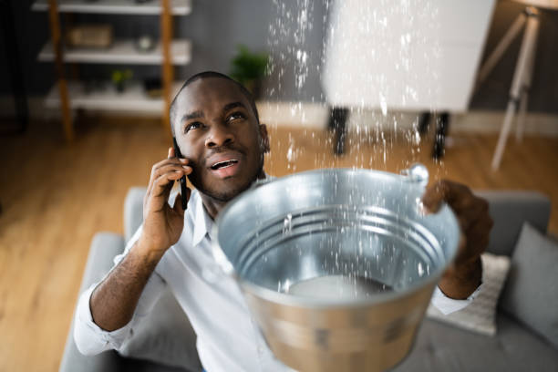 Best Water damage restoration near me  in Adelphi, MD