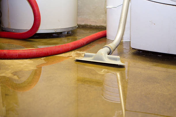 Best Water damage mitigation services  in Adelphi, MD