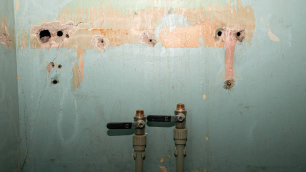 Best Carpet water damage restoration  in Adelphi, MD
