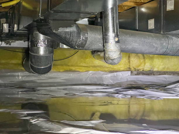Best Flood damage cleanup  in Adelphi, MD